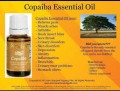 Young Living  Copaiba olejek eteryczny 5 ml