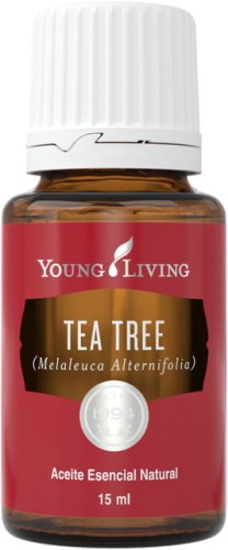 Young Living Tea Tree olejek eteryczny 15 ml drzewo herbaciane 