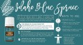 Young Living Idaho Blue Spruce ™ Świerk Niebieski olejek eteryczny (Picea pungens) 5 ml