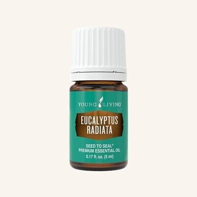 Young Living Eucalyptus Radiata® olejek 5 ml Eukaliptus 