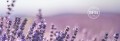 Young Living  Lavender olejek eteryczny lawendowy 15 ml. lawenda