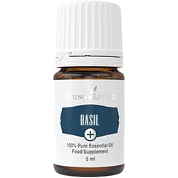 Young Living Basil Plus bazylia olejek 5 ml